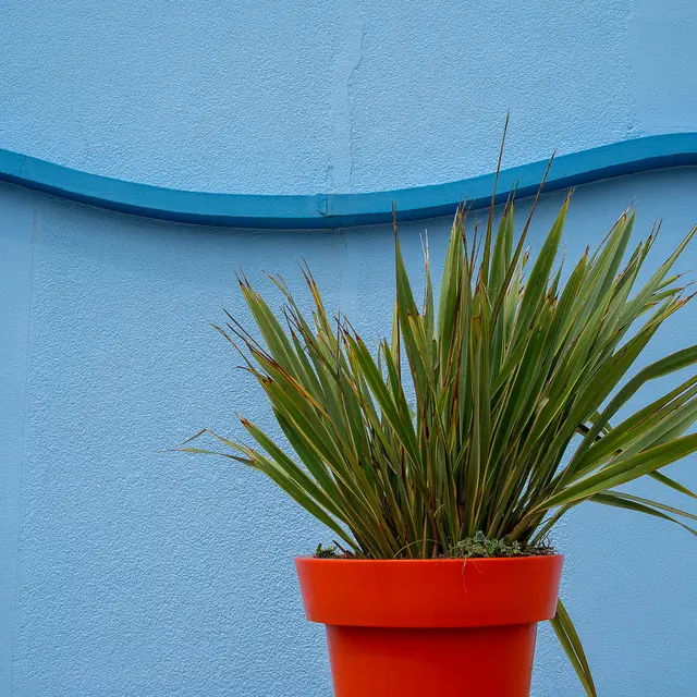 pexels-jan-van-der-wolf-11680885-34969446