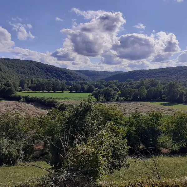 photo vue de la terrasse