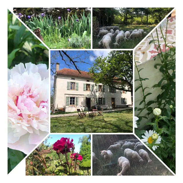 Mas d'Aubrac  en été