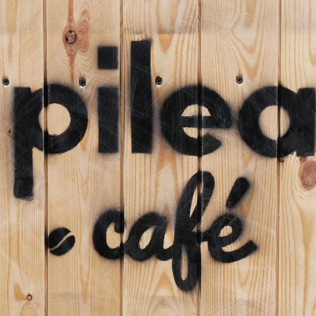 pilea.café-beaulieu sur dordogne