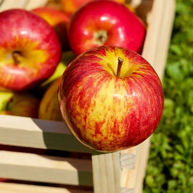 pommes rouges
