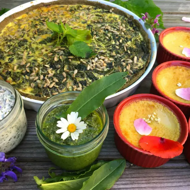 cuisine plantes sauvages