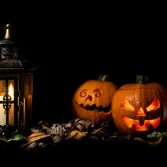 robin-mcskelly-fIsKKp0Fclk-unsplash