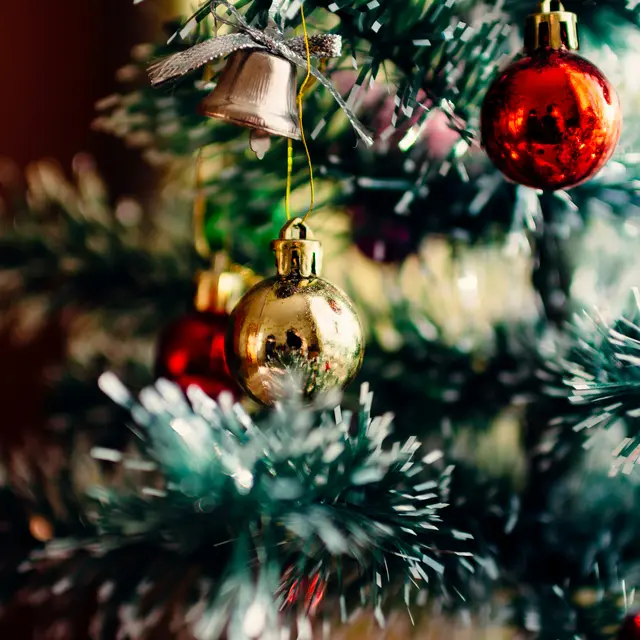 rodion-kutsaiev-ySNkCkdKyTY-unsplash