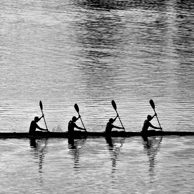 rowing-8135184_1280