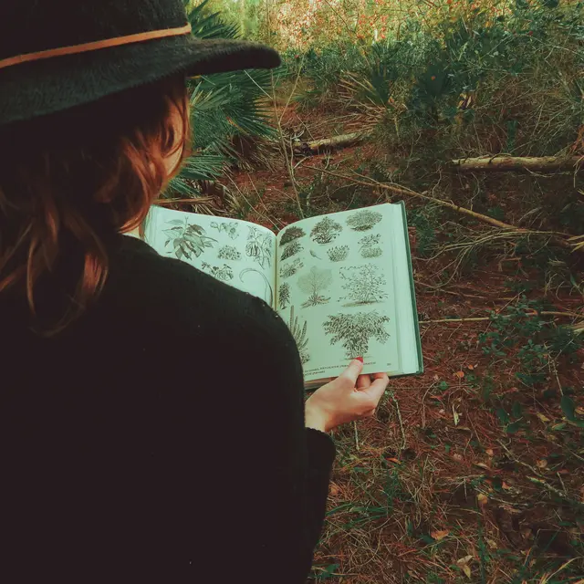 sarah-brown-8uk33AyGB10-unsplash