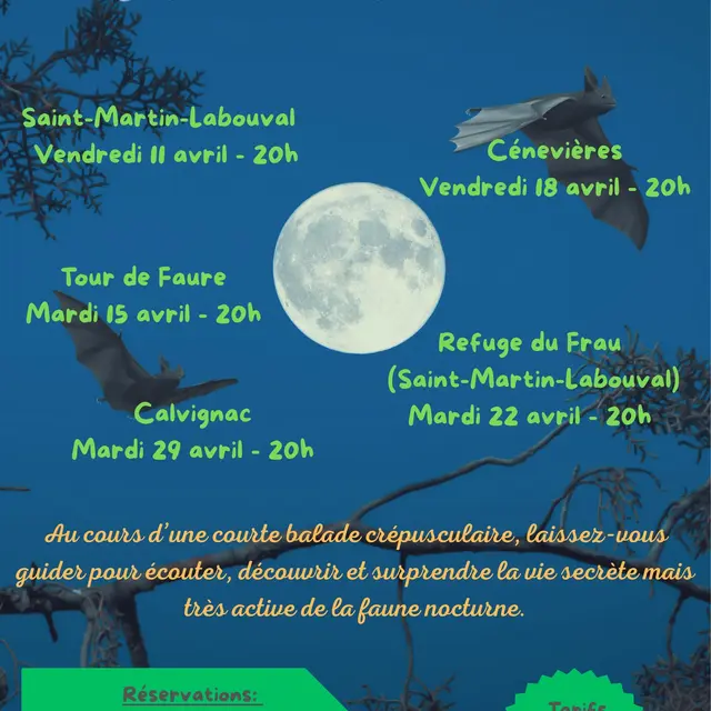 sortie nature