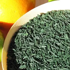 spiruline-tresor