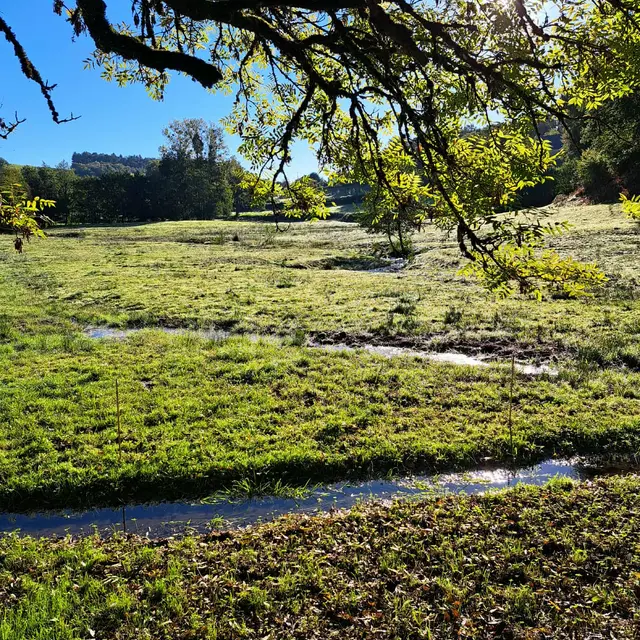 st Cirgues en chemin (6)