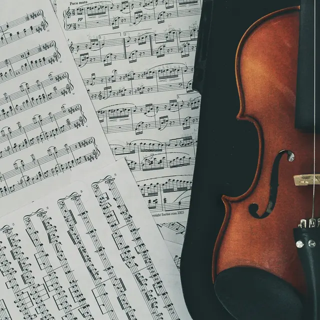 violon