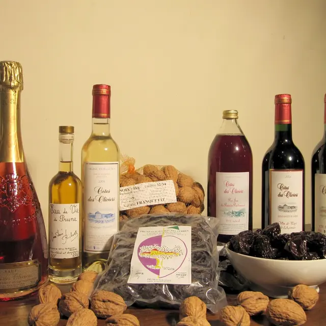 79277695_119475533142327_875130600128205520_o