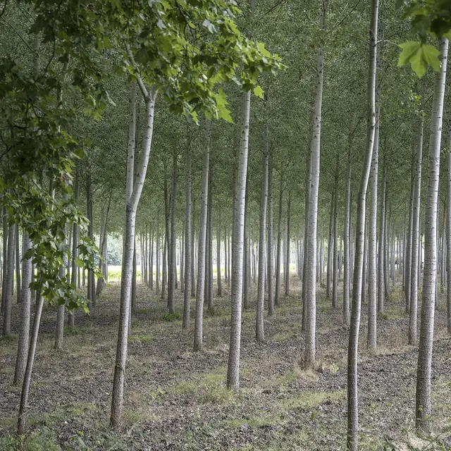 9-13_Imagine ta forme des lieux