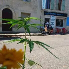 facade cote rond point