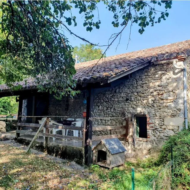 tournonzen_prunier (5)