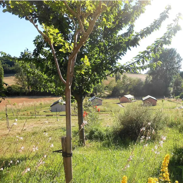 tournonzen_tente_safari_tente) (12)