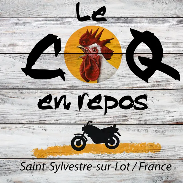 Le coq en repos (1)