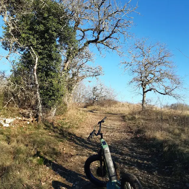 WhatsApp Image 2024-01-25 at 22.17.31 (1)