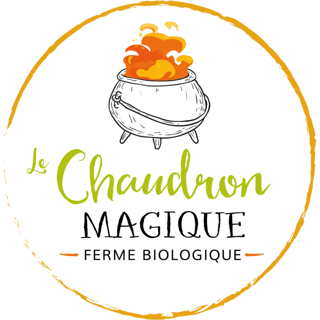 cclt_asc_chaudronmagique_logo