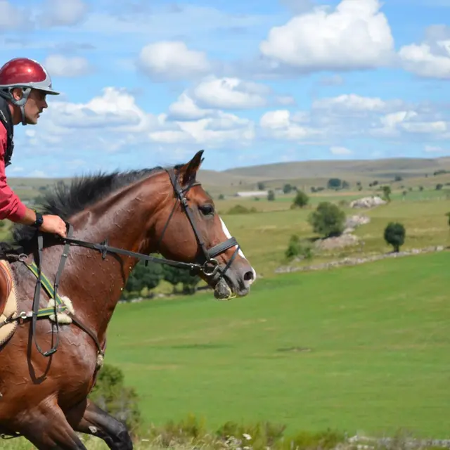 Club Hippique du Gévaudan