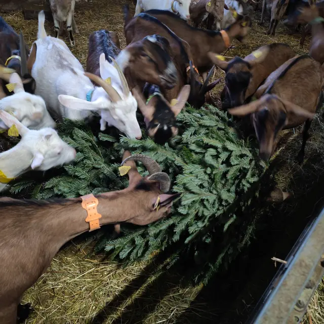 GAEC du Point Sublime