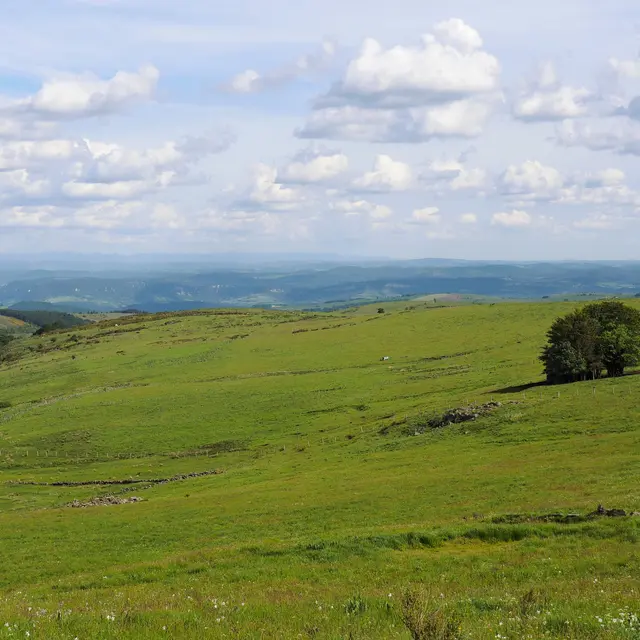 Le plateau de l'Aubrac