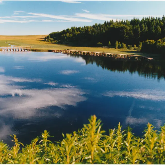 Les contreforts de l'Aubrac