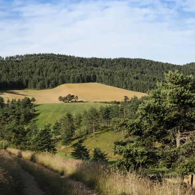 Vue depuis le circuit du Mazelet_1