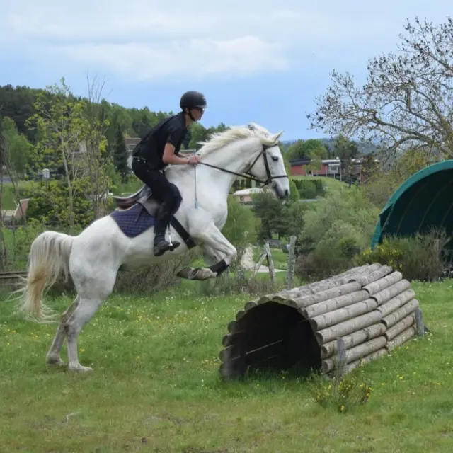 Ecurie des Grands Causses