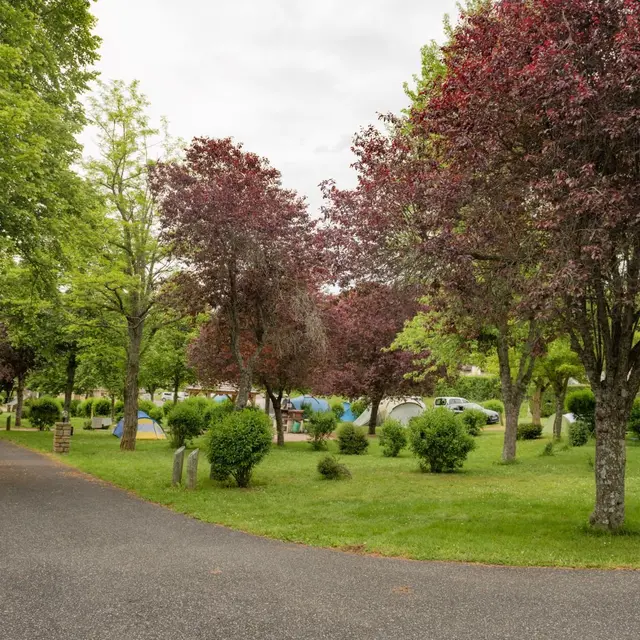 Camping municipal la Vignogue