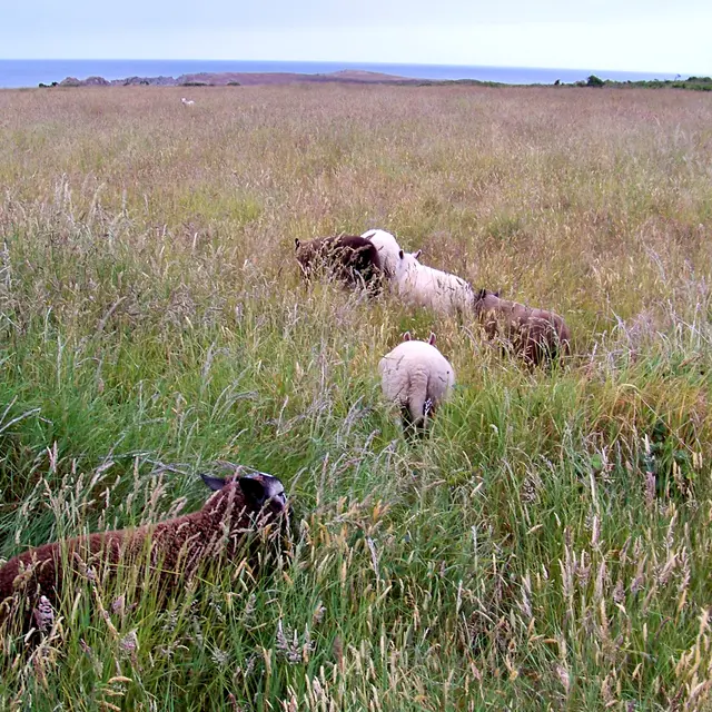 visuel2-FAIRE BANDE-100_7954HD@Isabelle Planche