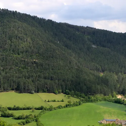 Vue depuis les hauteurs du Bruel_1