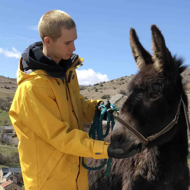 Alex et Séraphine Les Ânes du Vigos