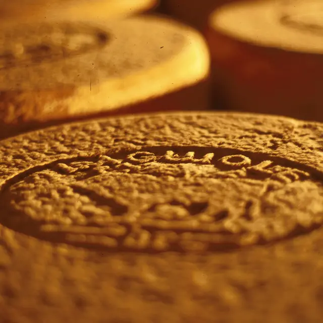 Jeune Montagne Coopérative Fromagère