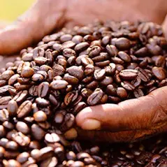 Café Fraté - Café fraté