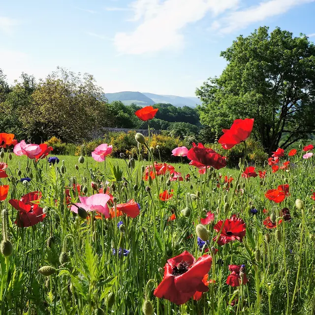 l'arrivée au domaine