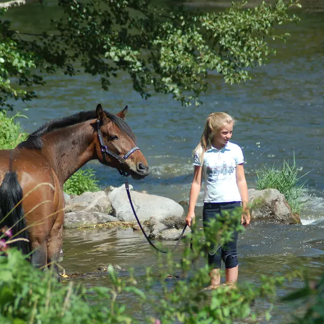 Ecurie des Grands Causses