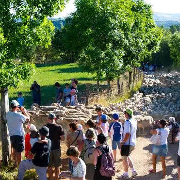 FERME SEGUIN, GAEC DES GRANDS CAUSSES