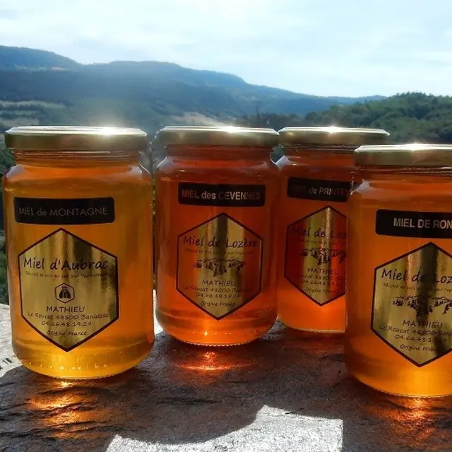 Miel de Lozère