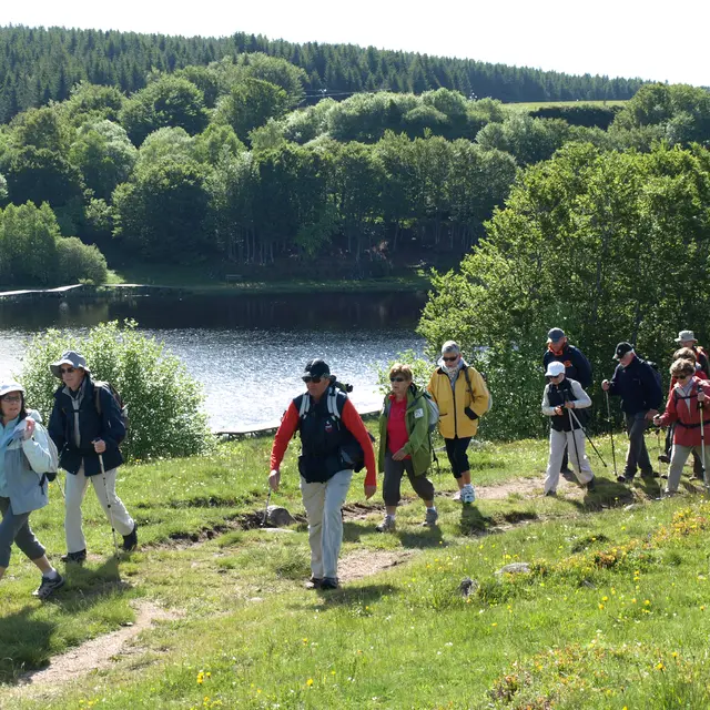 Chemin de Saint-Guilhem sur l'Aubrac