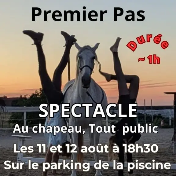 SPECTACLE CHEVAUX CHANAC 12082026 - 1