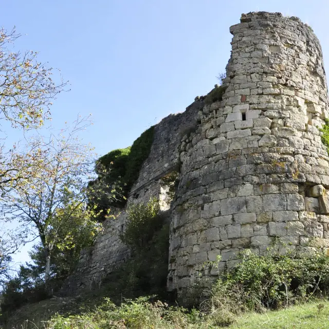 Ruines du château de Montferrand_1