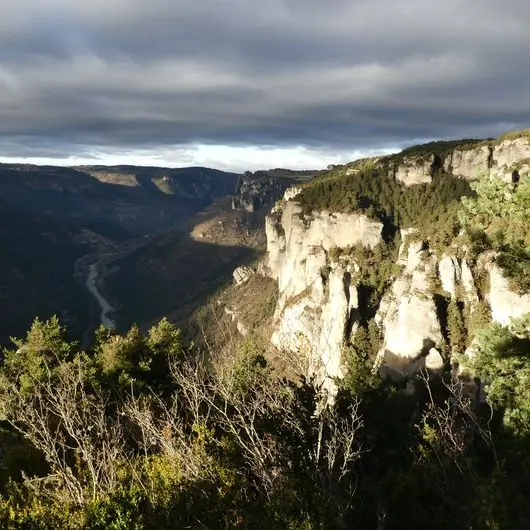 Les gorges du Tarn_1