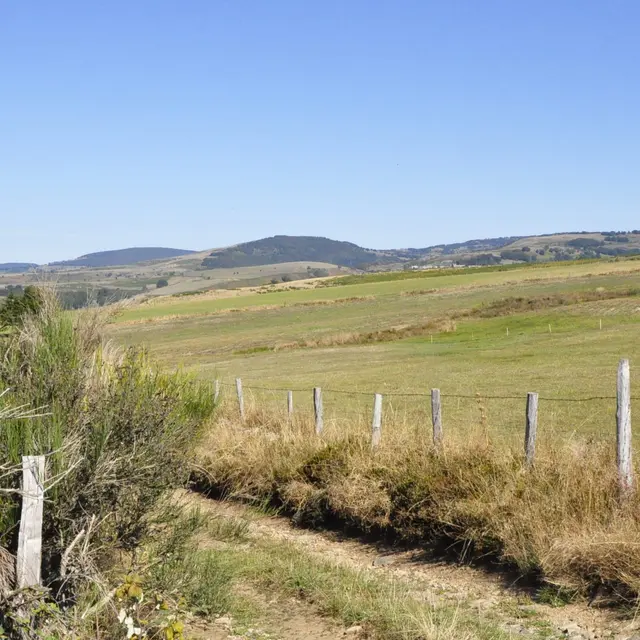 Les monts d'Aubrac depuis le chemin de crête_1