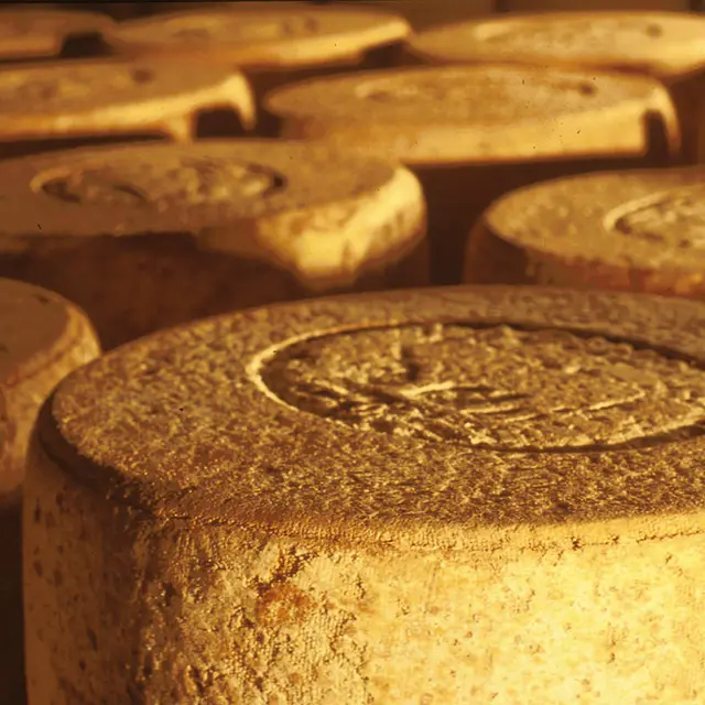 Jeune Montagne Coopérative Fromagère