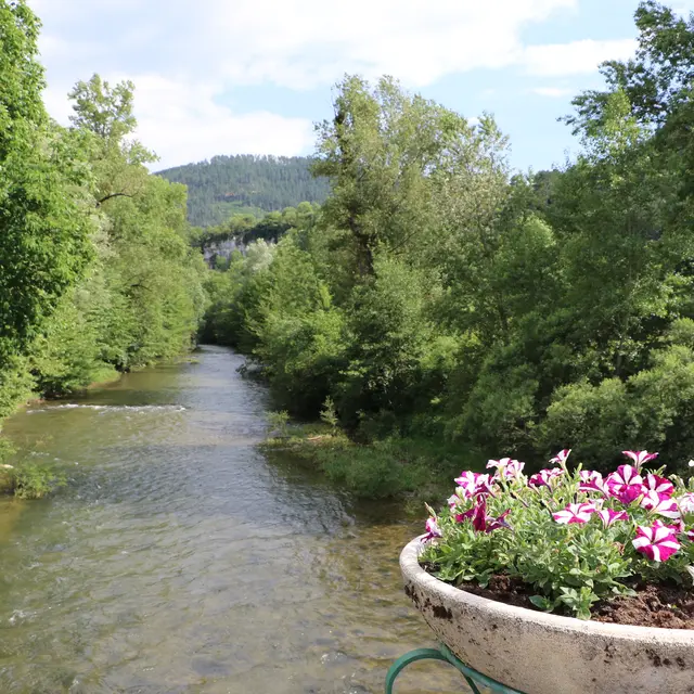 Le Lot au Pont Vieux à Chanac_1