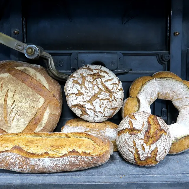 pains_optimises_affiche