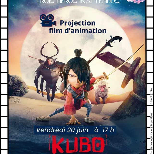2025 06 20 Projection Kubo PMT