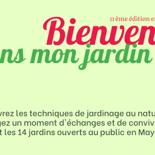 téléchargement