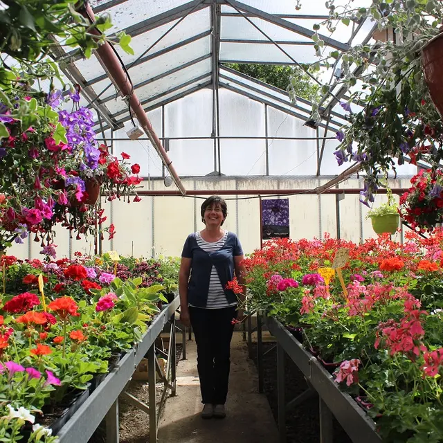 vallee-de-la-sarthe-Hode-Serres-Fleurs