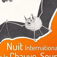 Chauve souris